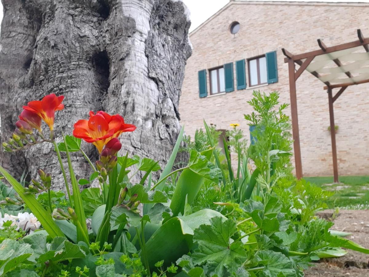 Aparthotel Casale Del Conero Porto Recanati Zewnętrze zdjęcie
